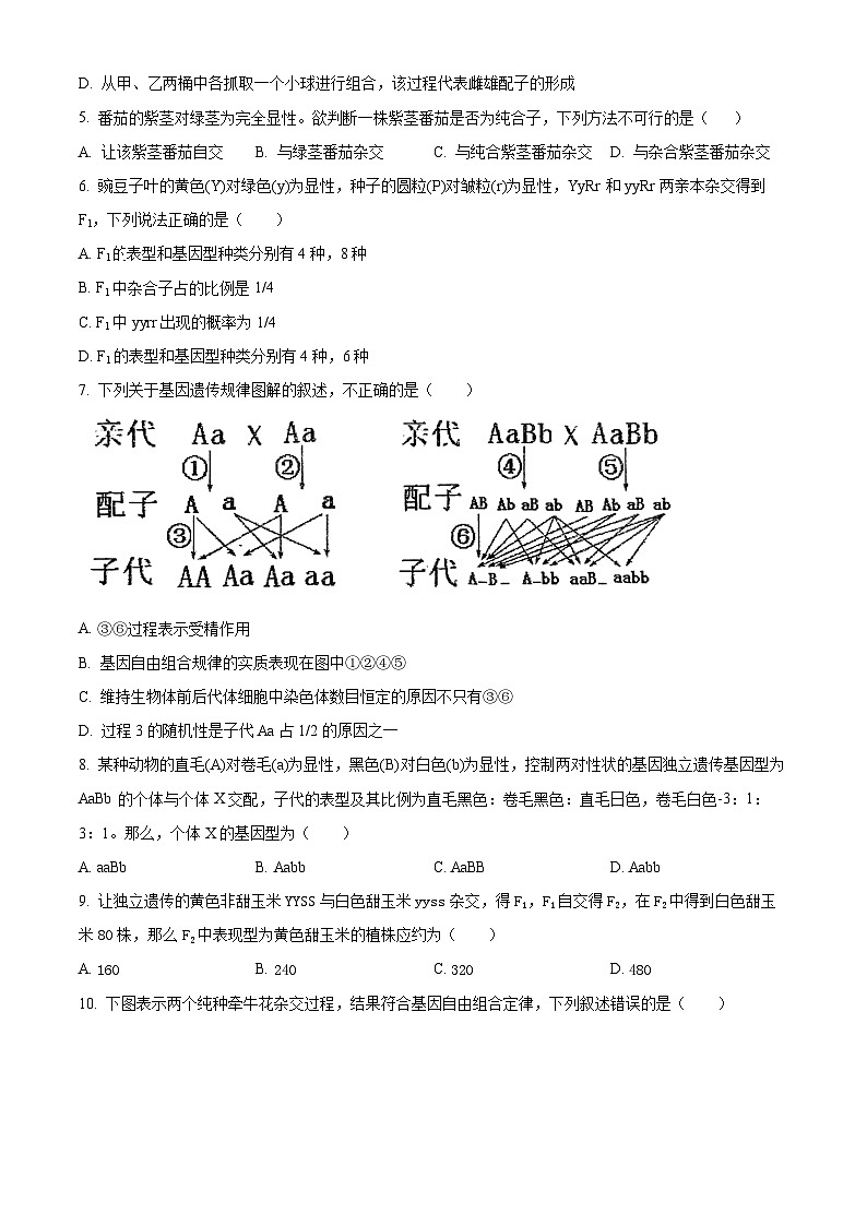 天津市滨海新区塘沽十三中2024-2025高一下学期生物3月月考试卷（原卷版+解析版）第2页