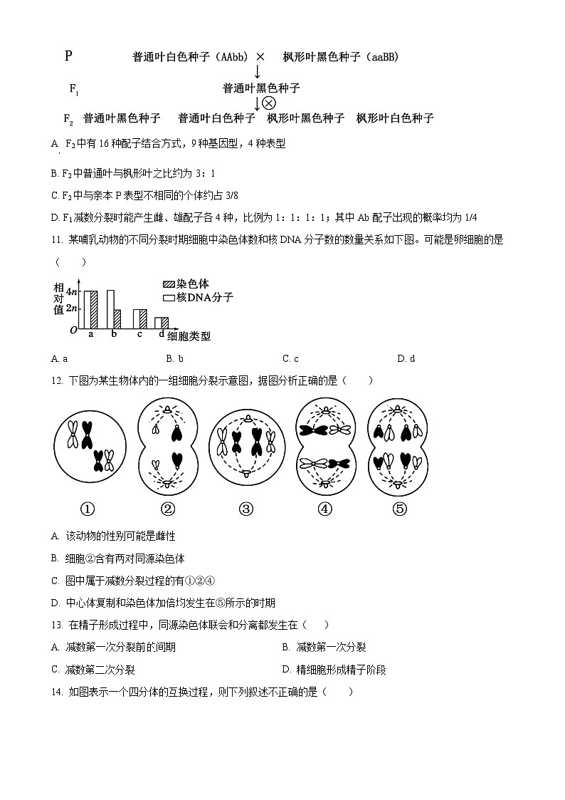 天津市滨海新区塘沽十三中2024-2025高一下学期生物3月月考试卷（原卷版+解析版）第3页