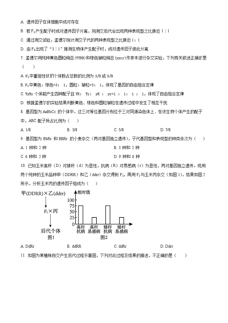 天津市滨海新区大港第一中学2024-2025学年高一下学期3月月考生物试题（原卷版+解析版）第2页