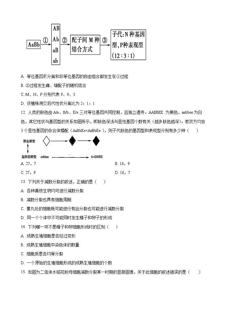 天津市滨海新区大港第一中学2024-2025学年高一下学期3月月考生物试题（原卷版+解析版）第3页