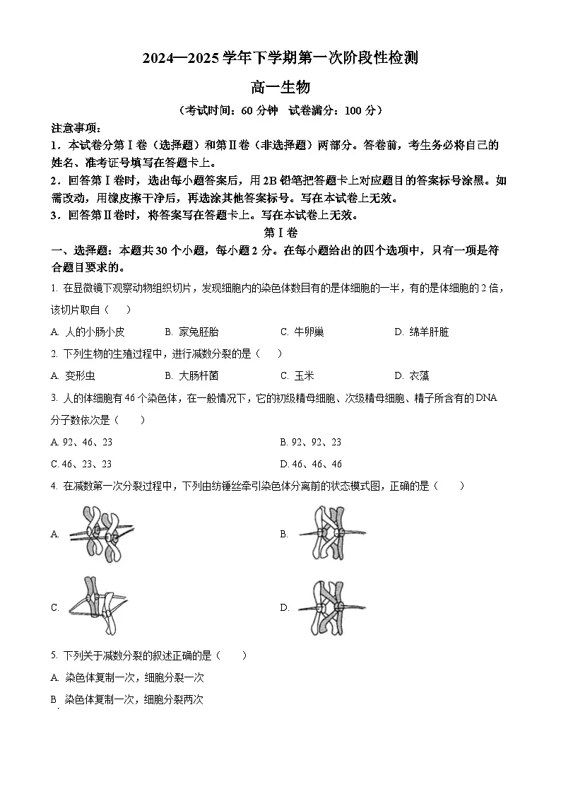 天津市滨海新区新城中学2024-2025学年高一下学期3月考试生物试题（原卷版+解析版）第1页