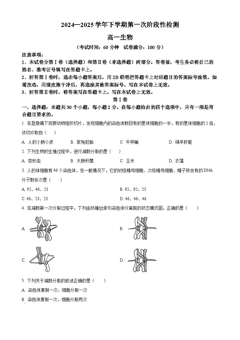 天津市滨海新区新城中学2024-2025学年高一下学期3月考试生物试题（原卷版+解析版）第1页