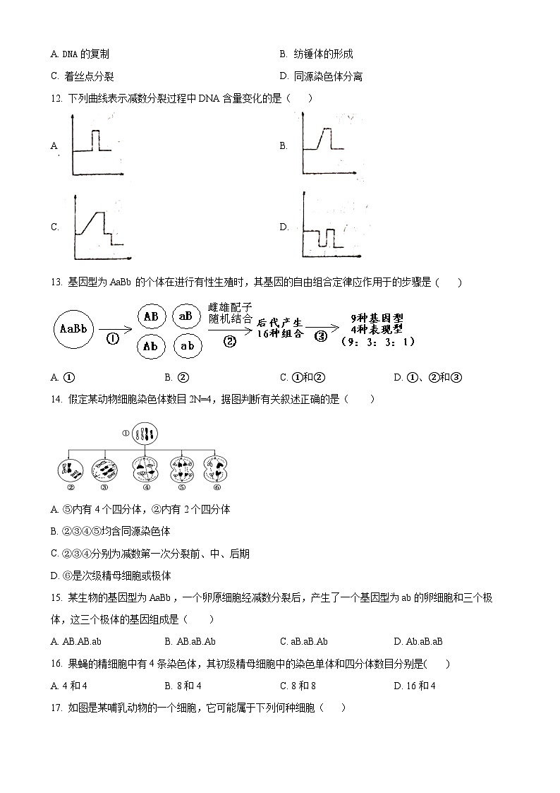 天津市南开区南开大学附属中学2024-2025学年高一下学期3月月考生物试题（原卷版+解析版）第3页