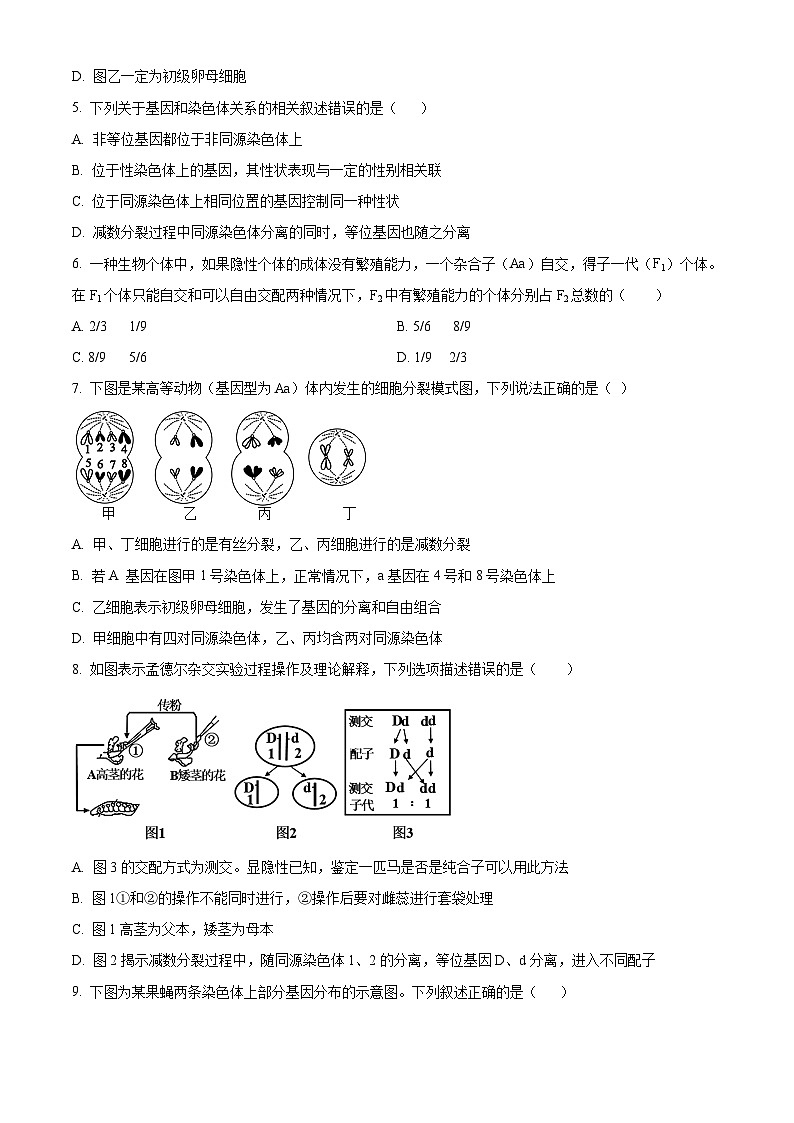 天津市天津中学2024-2025学年高一下学期3月月考生物试题（原卷版+解析版）第2页