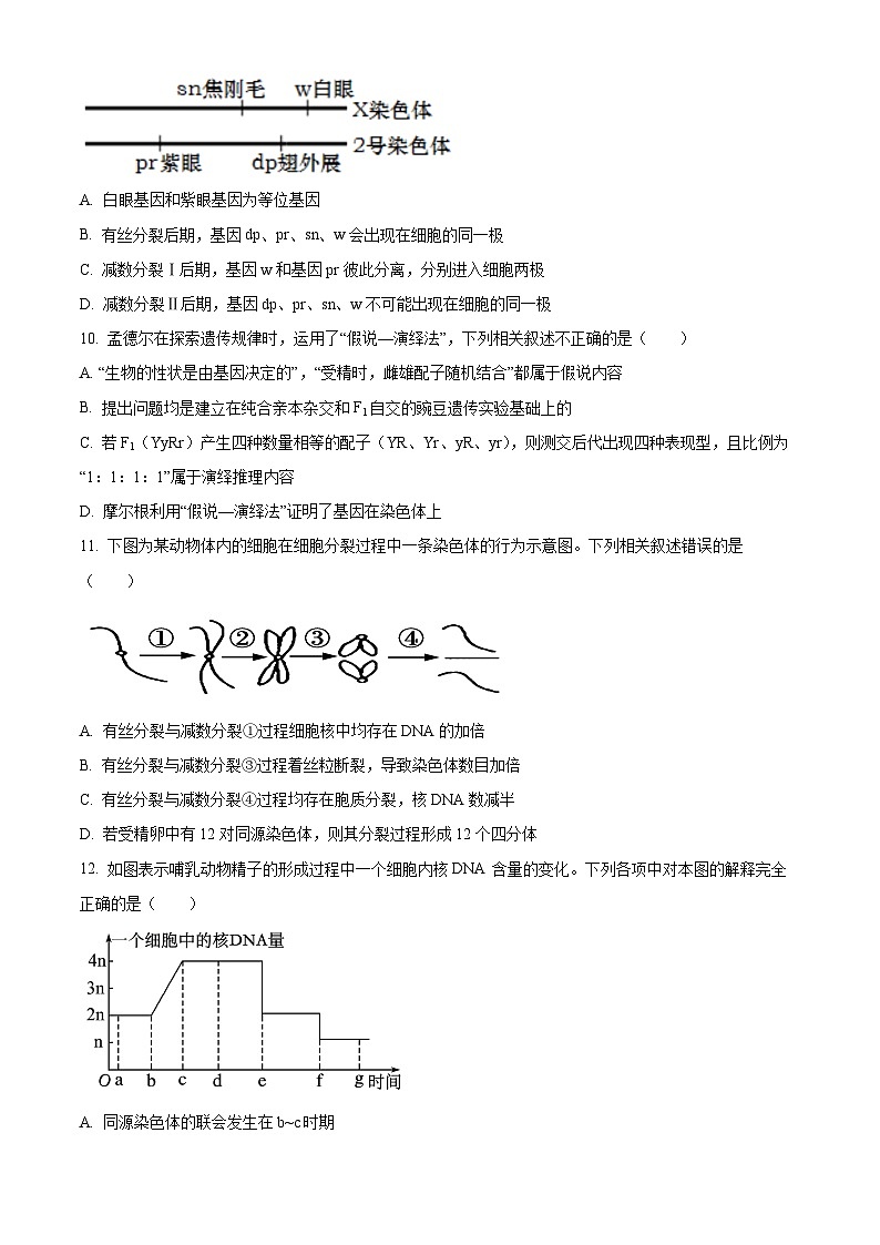 天津市天津中学2024-2025学年高一下学期3月月考生物试题（原卷版+解析版）第3页
