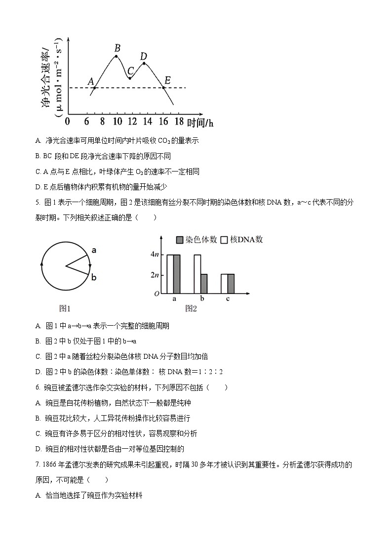 云南省玉溪市一中2024-2025学年高一下学期3月月考生物试题（原卷版+解析版）第2页