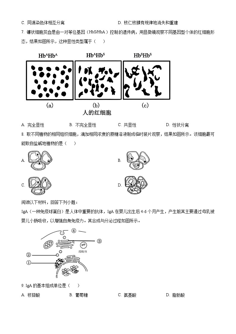 浙江省强基联盟2024-2025学年高一下学期3月月考生物试题（原卷版+解析版）第2页