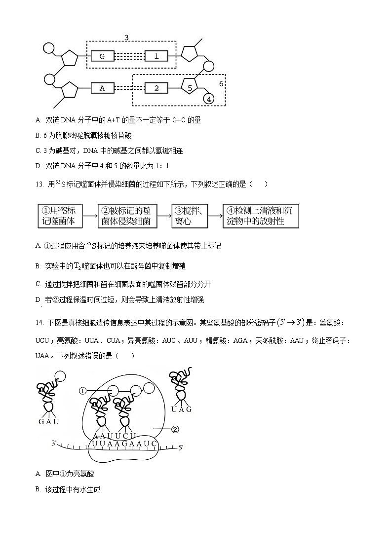 浙江省台州十校2024-2025学年高一下学期期中联考生物试题（原卷版+解析版）第3页