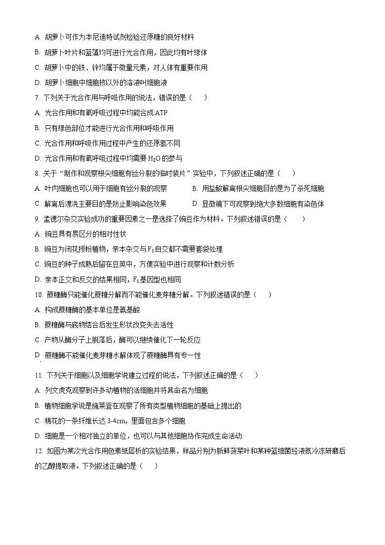 浙江省四校2024-2025学年高一下学期3月联考生物试卷（原卷版+解析版）第2页