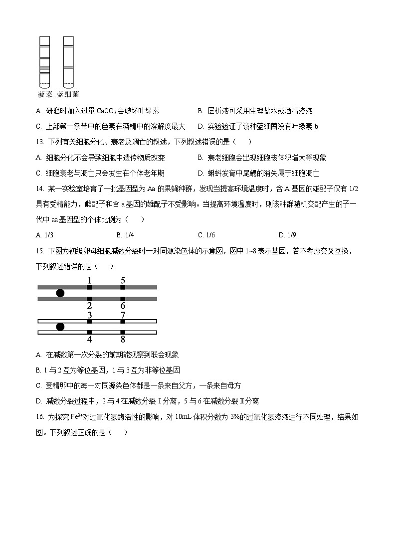 浙江省四校2024-2025学年高一下学期3月联考生物试卷（原卷版+解析版）第3页