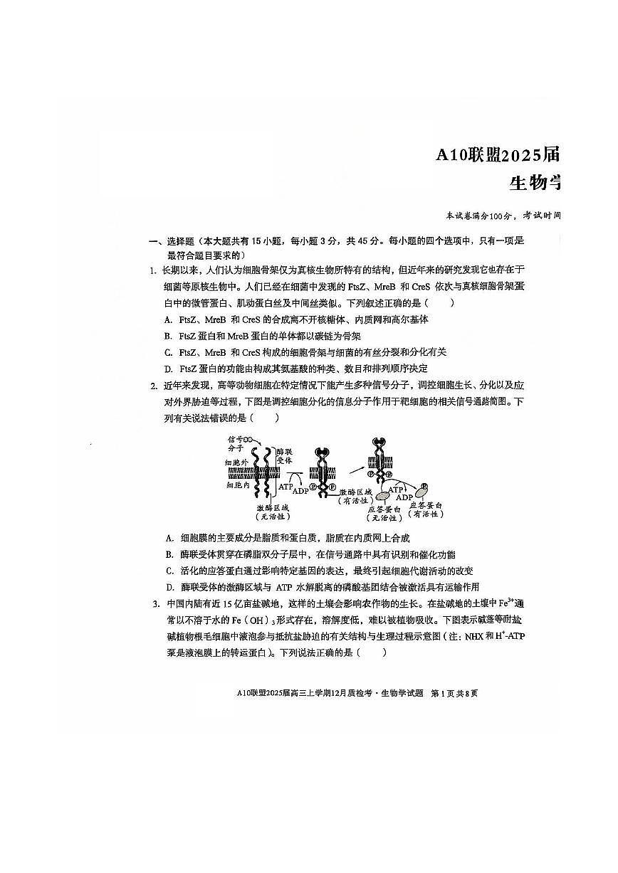 安徽省A10联盟2024—2025学年高三上学期12月联考 生物试卷（含答案）第1页