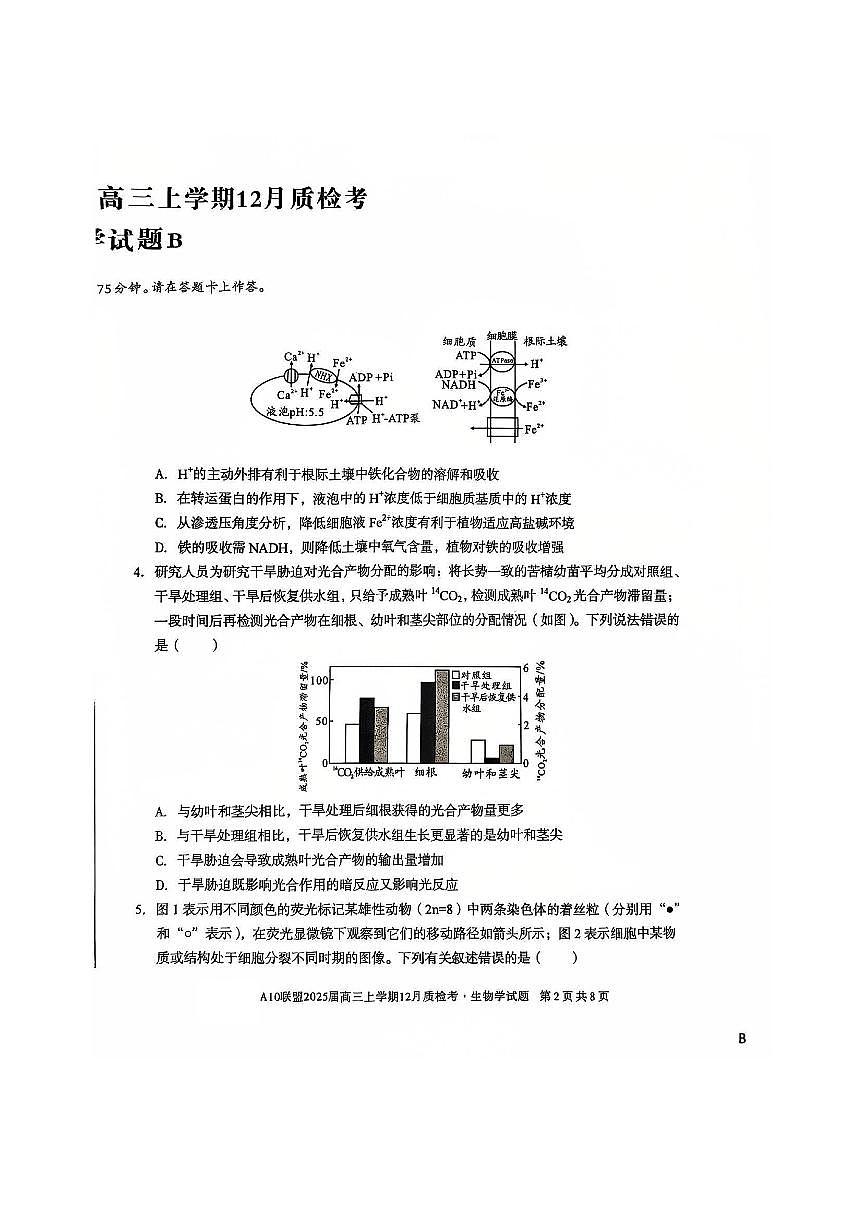 安徽省A10联盟2024—2025学年高三上学期12月联考 生物试卷（含答案）第2页