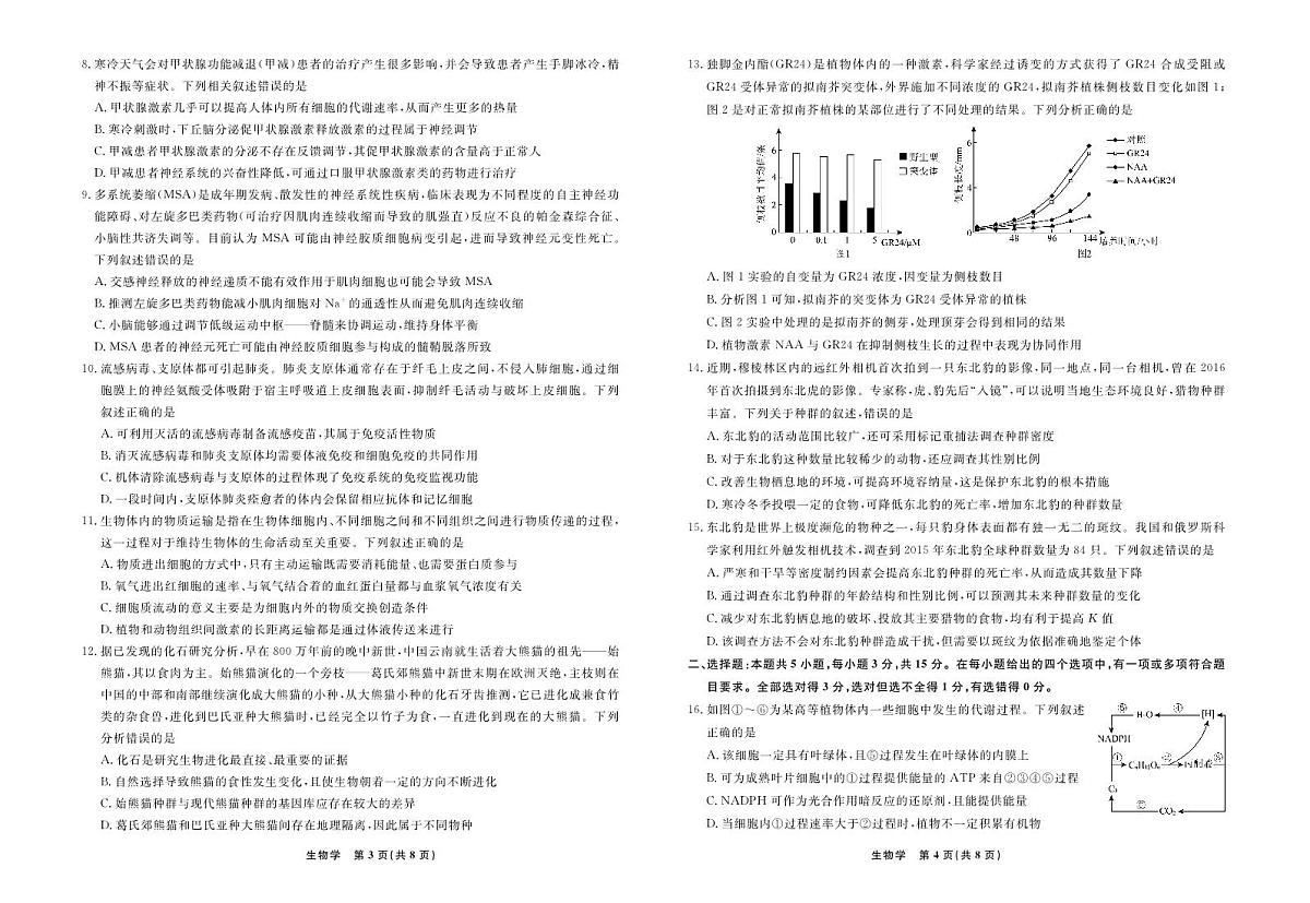 2024年辽宁高三12月联考试卷 生物试卷（含答案）第2页