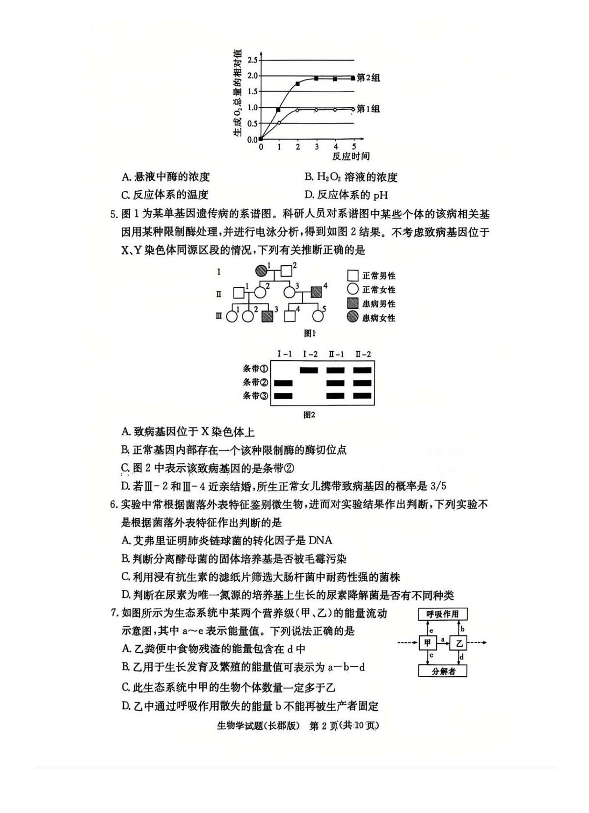 2025届湖南省长郡中学高三月考四 生物试卷（含答案）第2页