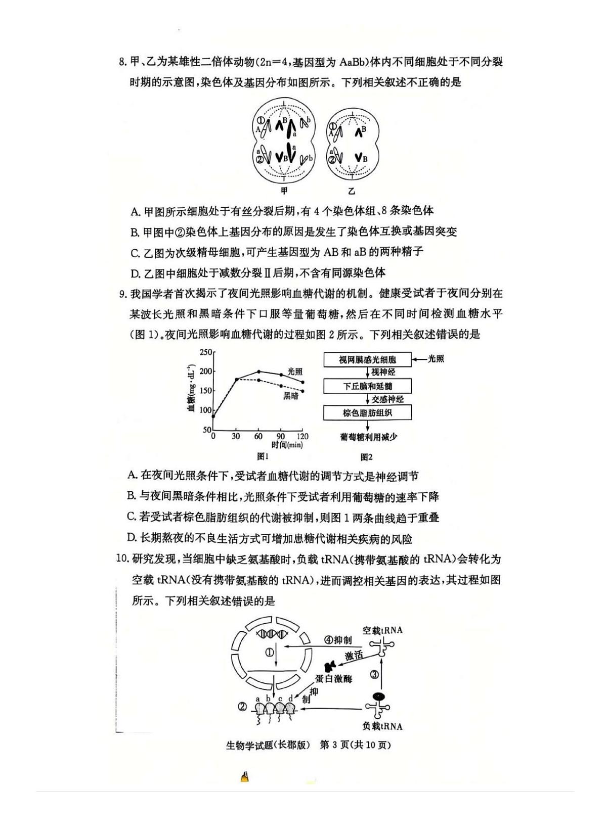 2025届湖南省长郡中学高三月考四 生物试卷（含答案）第3页