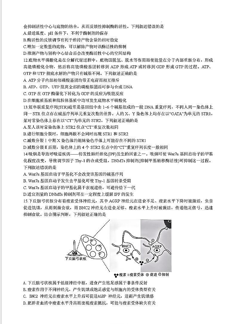 2025届福建省高三联考12月考试 生物试卷（含答案）第3页