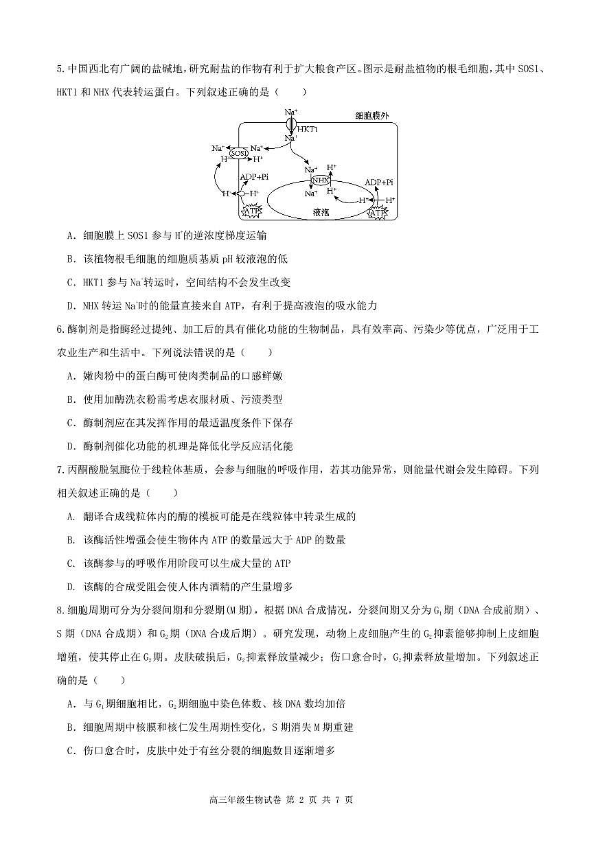 安徽省合肥市普通高中六校联盟2025届高三上学期期中联考生物试卷（含答案）第2页