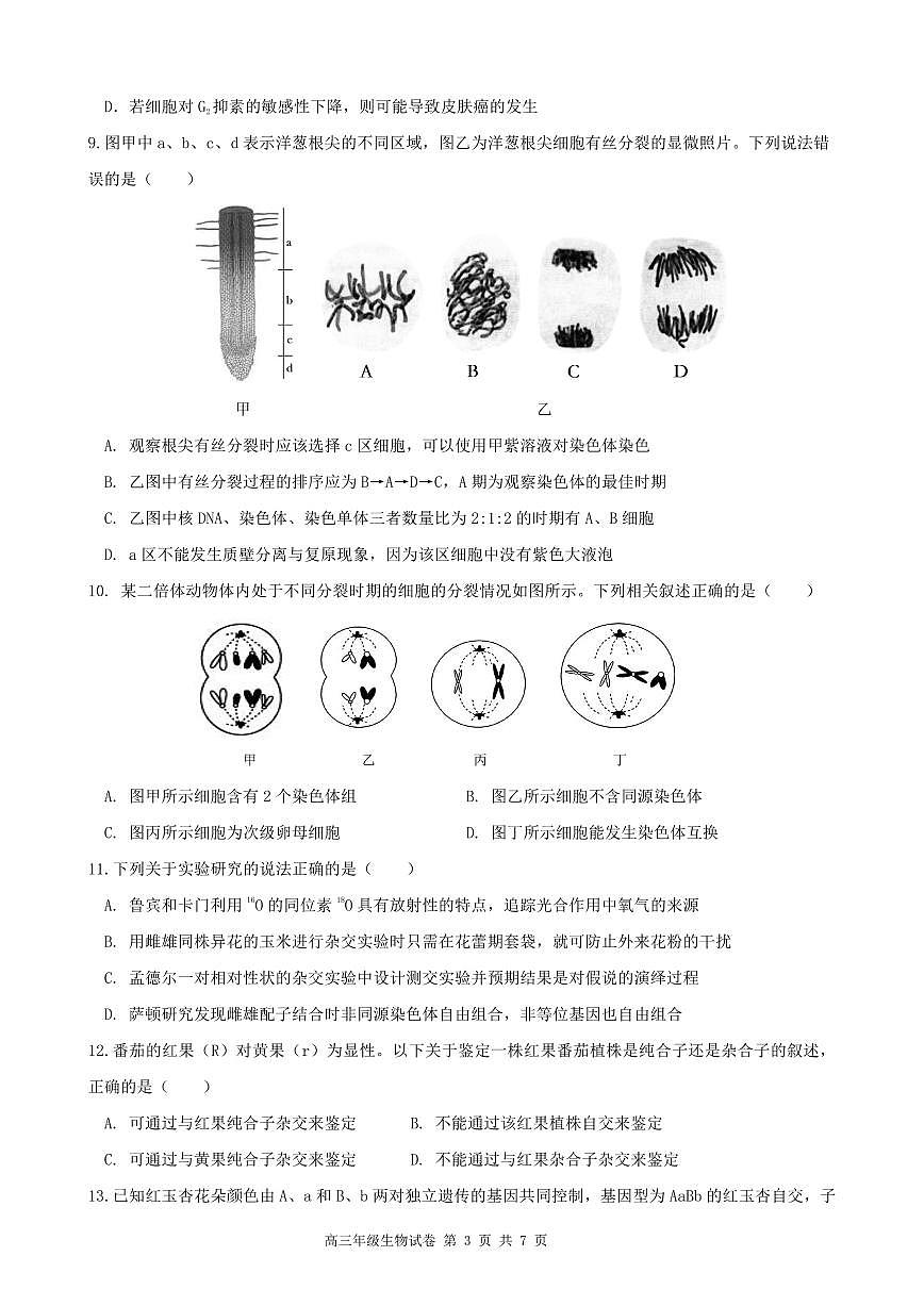安徽省合肥市普通高中六校联盟2025届高三上学期期中联考生物试卷（含答案）第3页