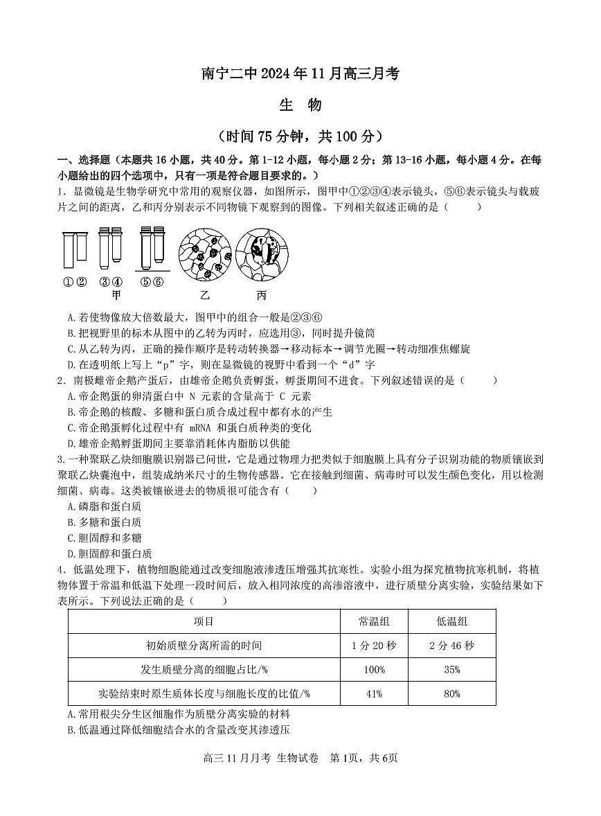 广西南宁市第二中学2024-2025学年高三上学期11月月考生物试卷（含答案）第1页