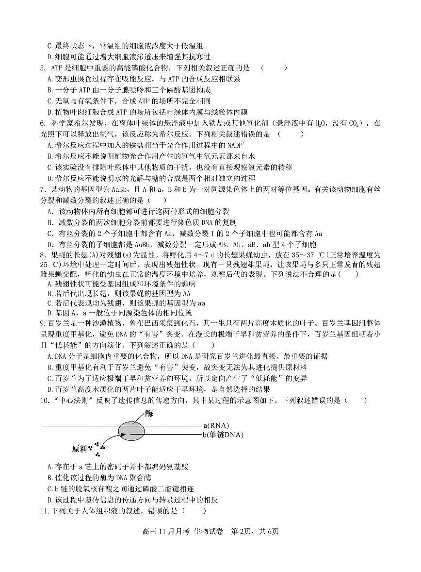 广西南宁市第二中学2024-2025学年高三上学期11月月考生物试卷（含答案）第2页