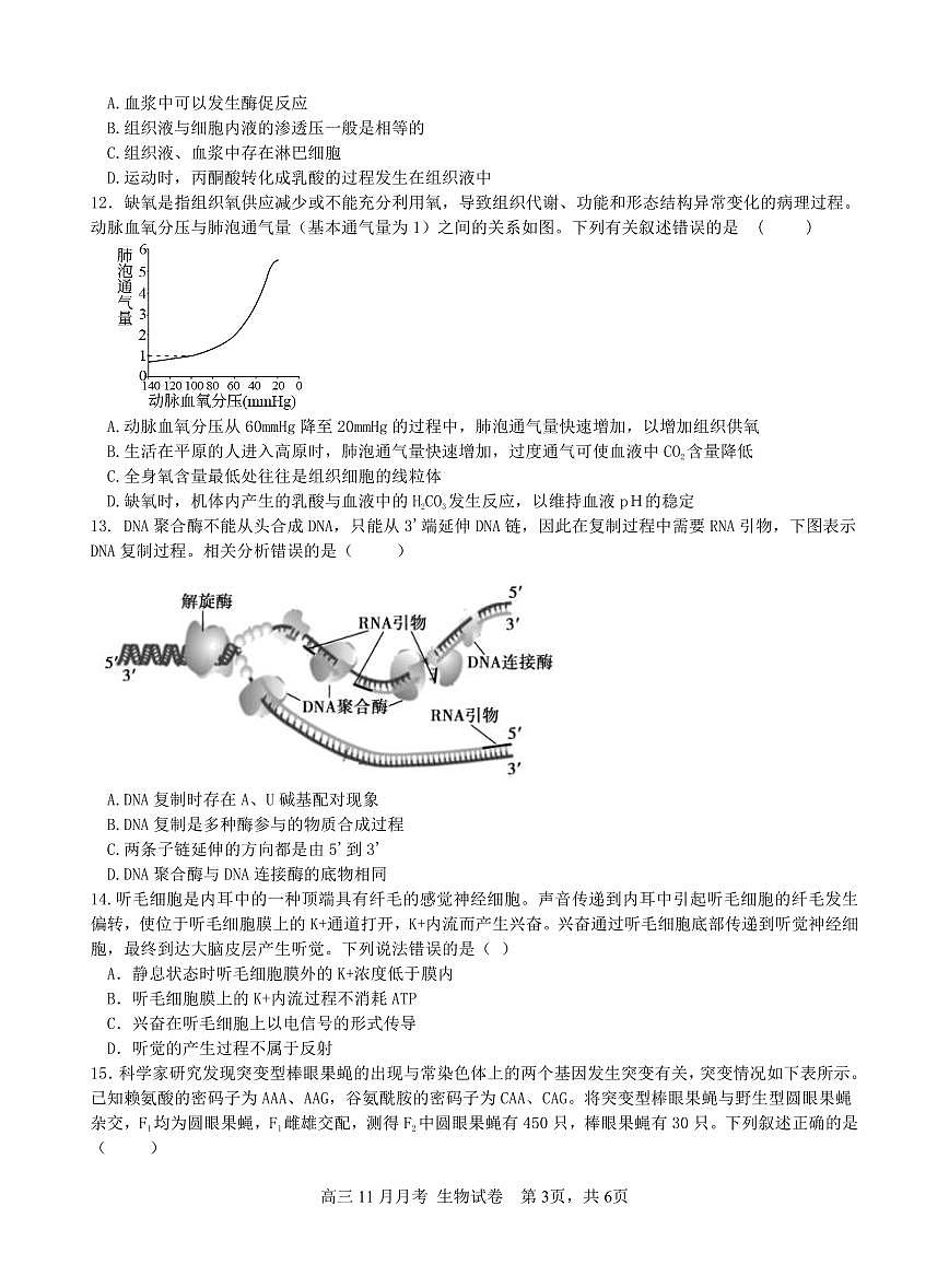 广西南宁市第二中学2024-2025学年高三上学期11月月考生物试卷（含答案）第3页