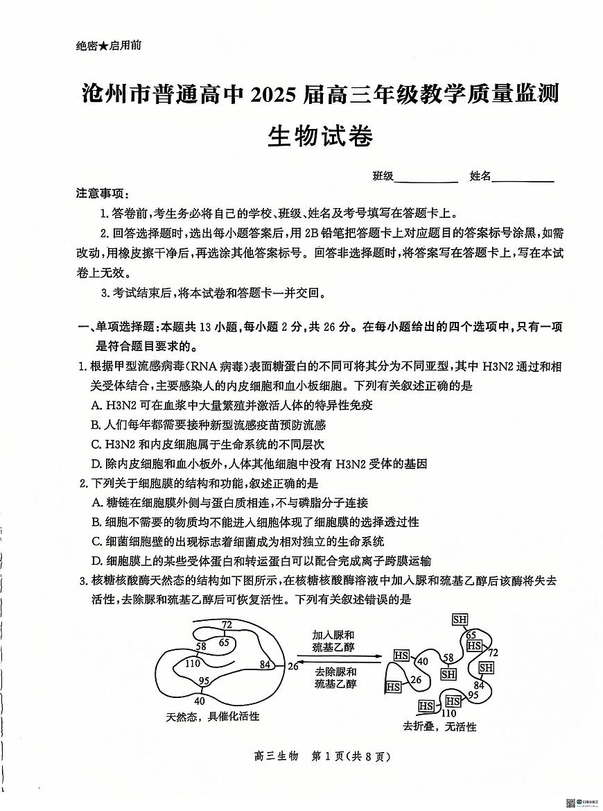 河北省沧州市2024-2025学年高三上学期12月教学质量监测 生物试题（含答案）第1页
