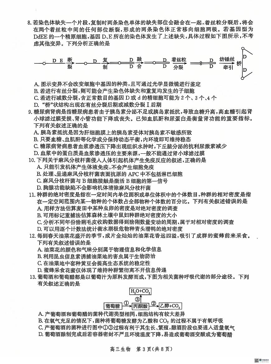 河北省沧州市2024-2025学年高三上学期12月教学质量监测 生物试题（含答案）第3页