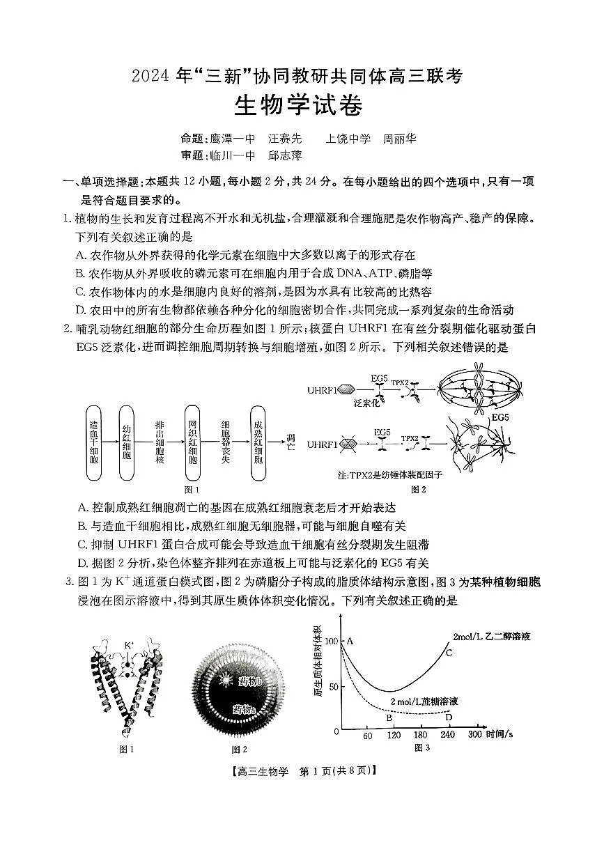 江西省“三新”协同教研共同体2024-2025学年高三上学期12月联考 生物试卷（含答案）第1页