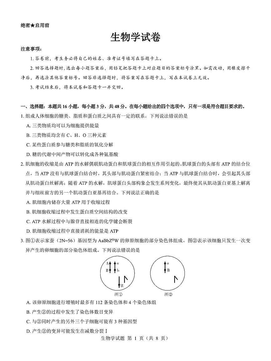 名校教研联盟2025届高三12月联考 生物试卷（含答案）第1页