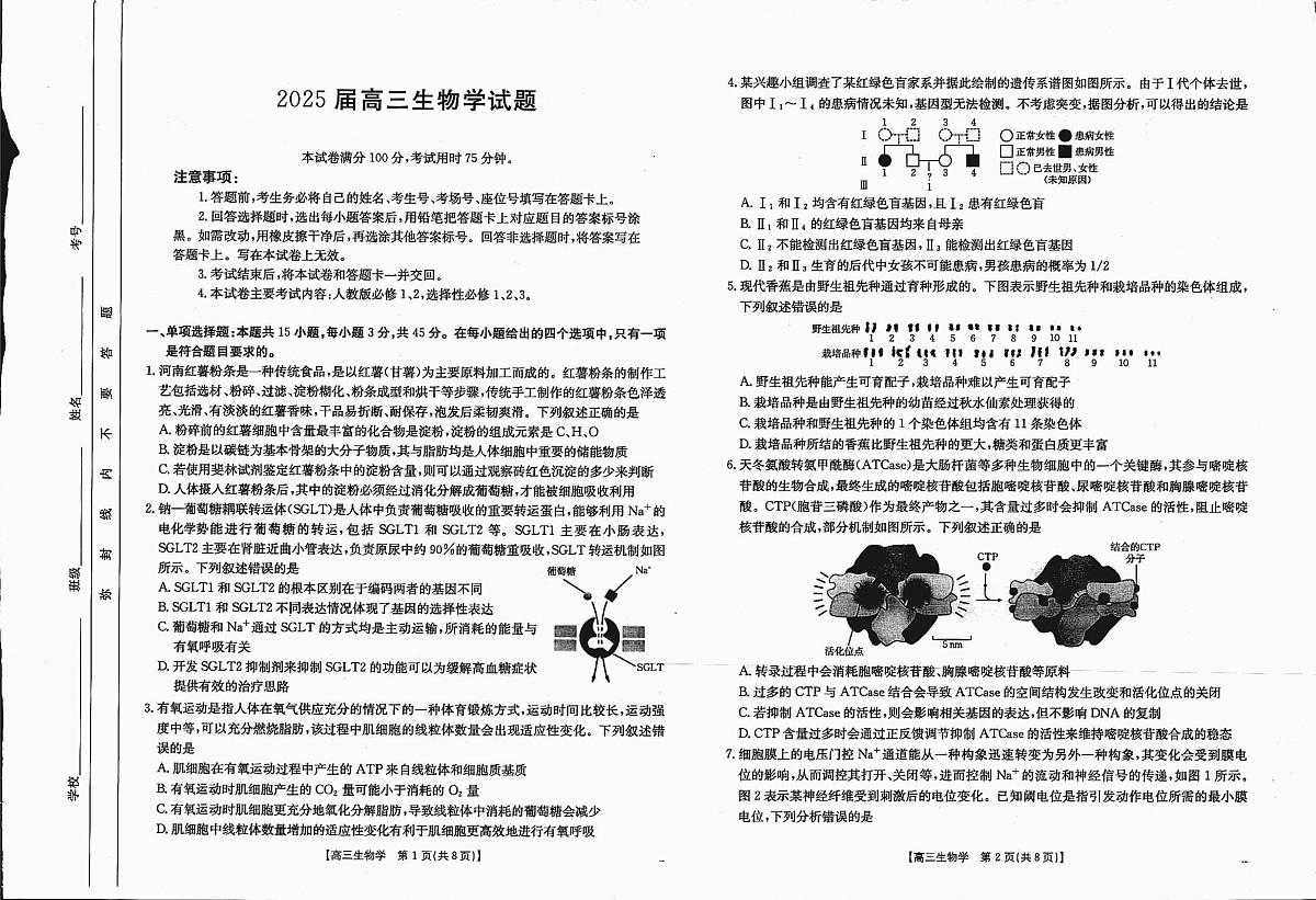 四川省2025届高三上学期12月联考 生物试卷（含答案）第1页