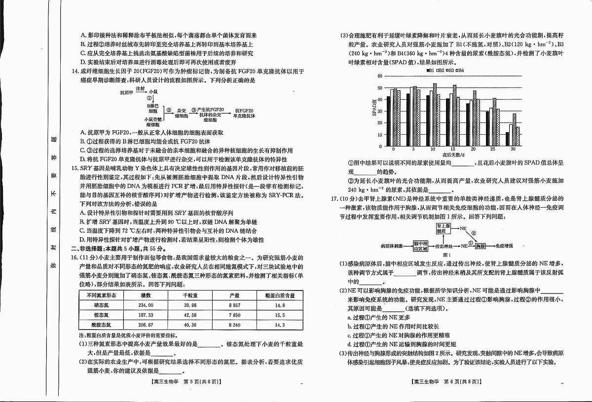 四川省2025届高三上学期12月联考 生物试卷（含答案）第3页