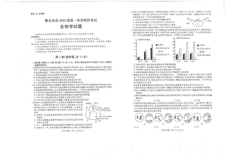 四川省九市2024-2025学年高三上学期（12月）第一次诊断性考试生物试卷（含答案）第1页