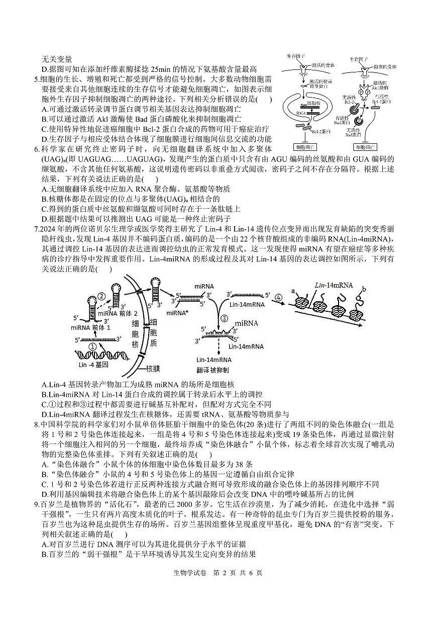 四川省名校联盟2025届高三12月联考生物试卷（含答案）第2页