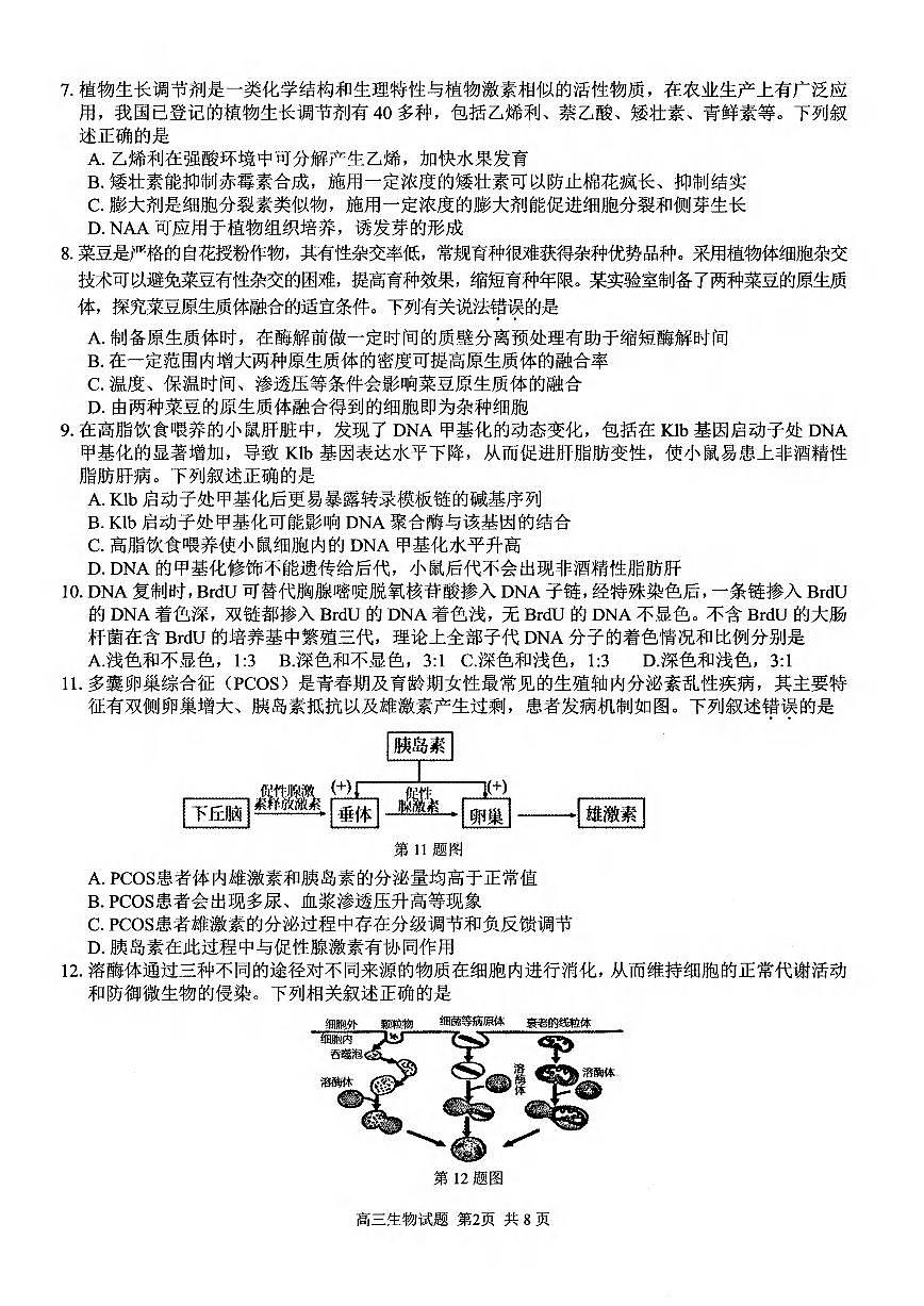 浙江省2025届高三12月适应性联考 生物试卷（含答案）第2页