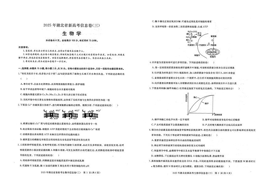 湖北省新高考2025年高三高考模拟信息卷（三）-生物试题+答案第1页