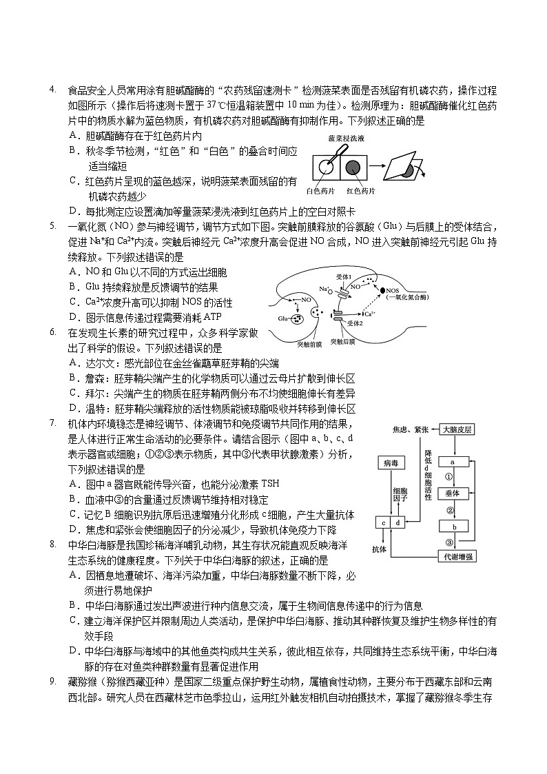 广东省广州市2025届高三下学期考前冲刺训练（一）生物试题（Word版附答案）第2页