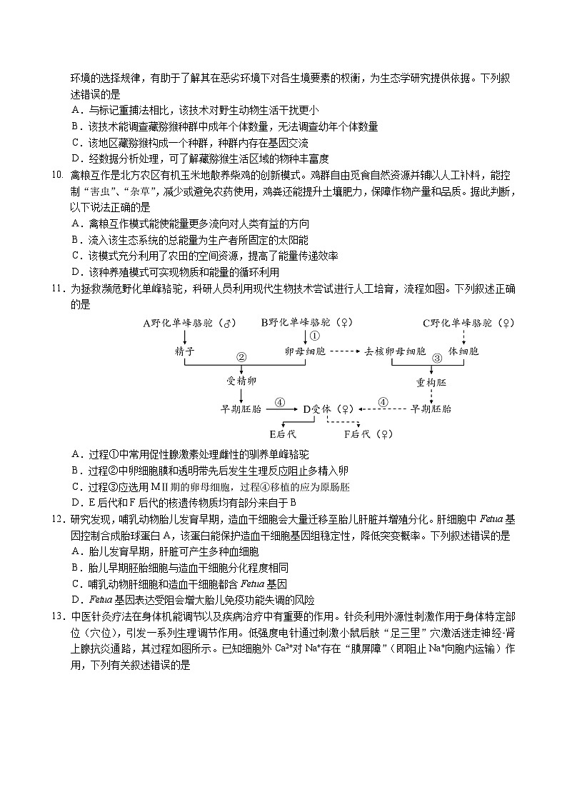 广东省广州市2025届高三下学期考前冲刺训练（一）生物试题（Word版附答案）第3页