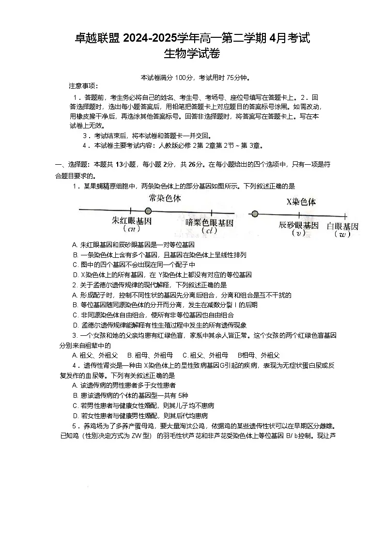 河北省邢台市卓越联盟2024-2025学年高一下学期4月月考生物试卷第1页