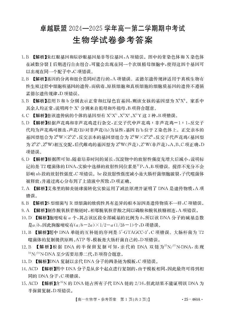 河北省邢台市卓越联盟2024-2025学年高一下学期4月期中生物答案第1页