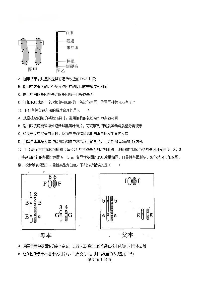 黑龙江省哈尔滨师范大学附属中学2024-2025学年高一下学期4月月考生物试卷（原卷版）第3页