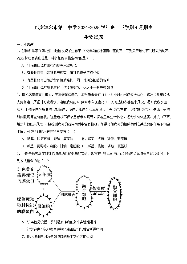 内蒙古巴彦淖尔市第一中学2024-2025学年高一下学期4月期中考试生物试题（Word版附答案）第1页