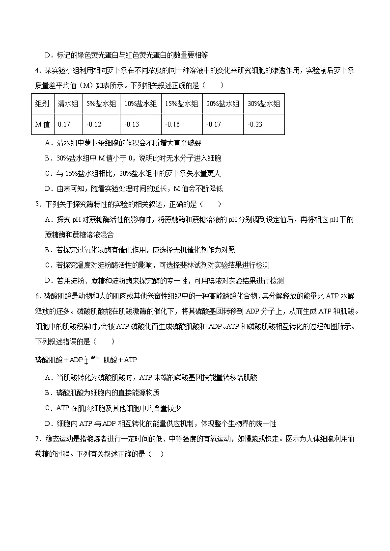内蒙古巴彦淖尔市第一中学2024-2025学年高一下学期4月期中考试生物试题（Word版附答案）第2页