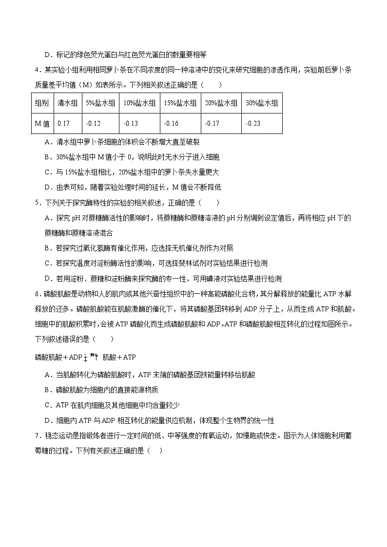 内蒙古巴彦淖尔市第一中学2024-2025学年高一下学期4月期中考试生物试题（Word版附答案）第2页
