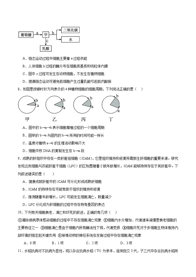 内蒙古巴彦淖尔市第一中学2024-2025学年高一下学期4月期中考试生物试题（Word版附答案）第3页
