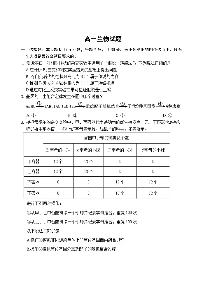 山东省泰安市肥城市2024-2025学年高一下学期期中考试生物试题（Word版附答案）第1页