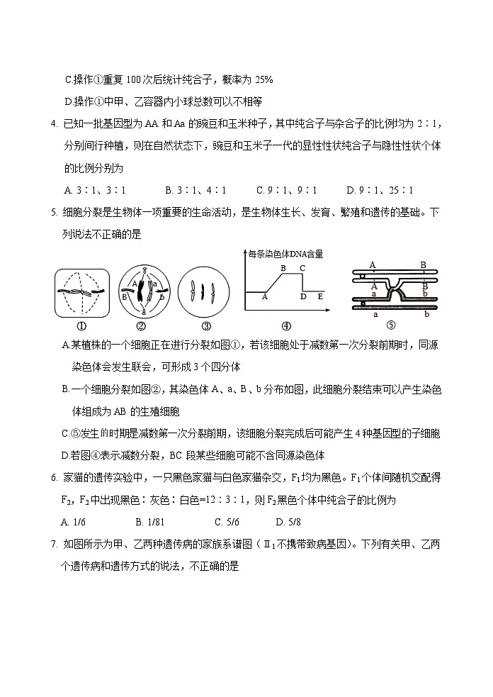 山东省泰安市肥城市2024-2025学年高一下学期期中考试生物试题（Word版附答案）第2页