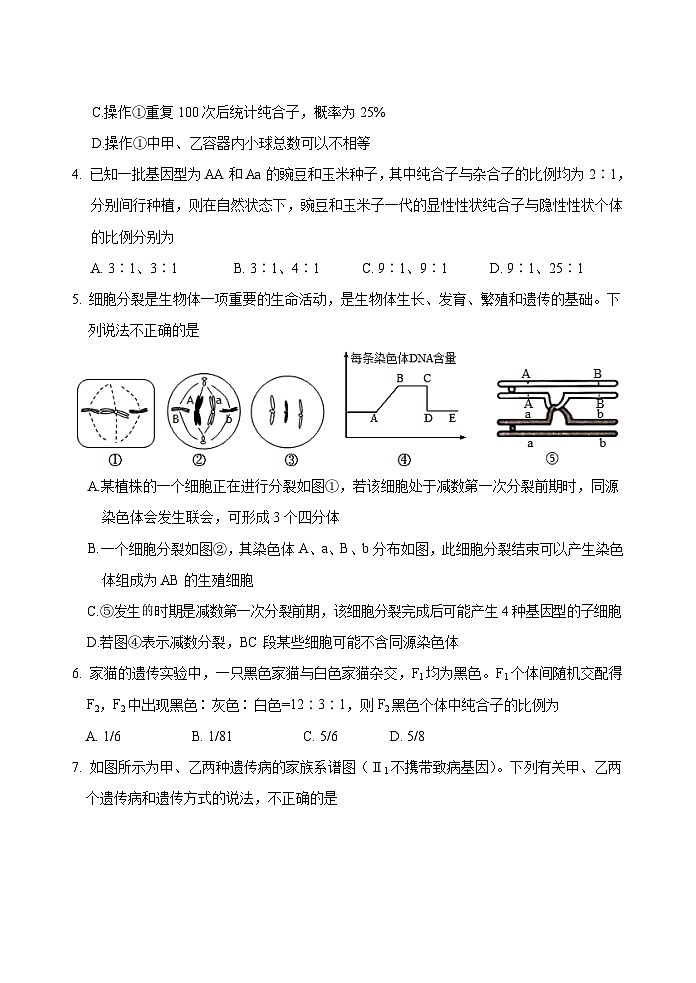 山东省泰安市肥城市2024-2025学年高一下学期期中考试生物试题（Word版附答案）第2页