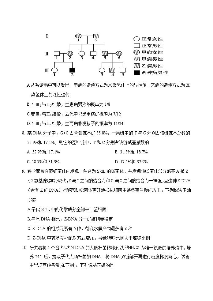 山东省泰安市肥城市2024-2025学年高一下学期期中考试生物试题（Word版附答案）第3页