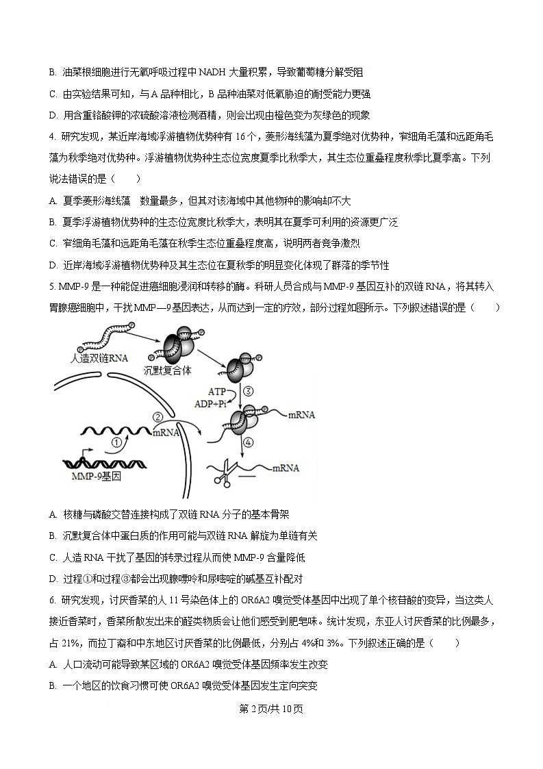2025届四川省成都市金牛区成都外国语学校高三下学期模拟预测生物试题（原卷版）第2页