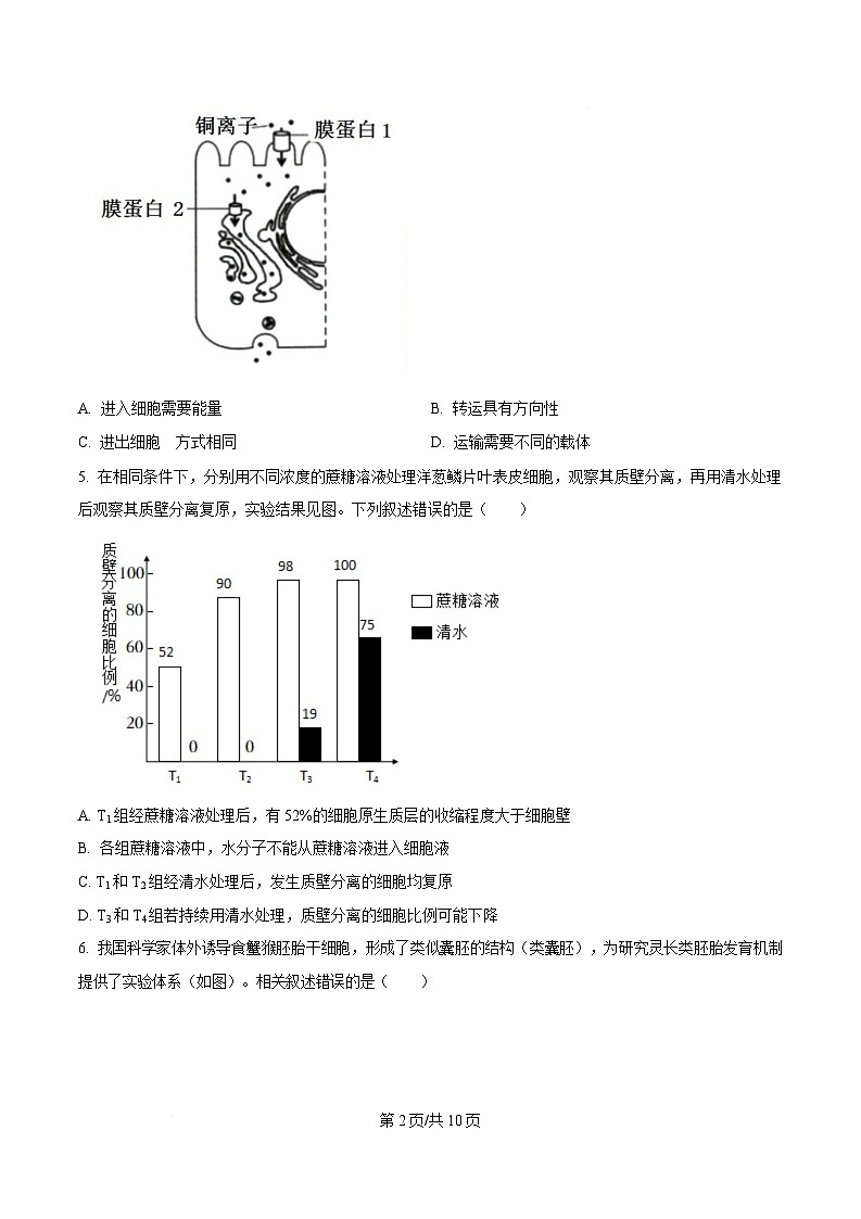 2025届四川省眉山市仁寿县四川省仁寿第一中学校（北校区）三模生物试题（原卷版）第2页